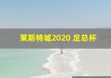 莱斯特城2020 足总杯